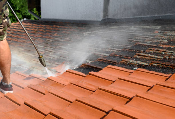 Best Roof Pressure Washing  in Ellsworth, ME